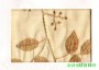 市話：02-26771601* 03-3642601   <br>產品編號：177-13<br>手機：0979017228   <br>歡迎來電評估