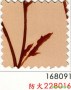 市話：02-26771601* 03-3642601   <br>產品編號：228016<br>手機：0979017228   <br>歡迎來電評估