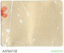 市話：02-26771601* 03-3642601   <br>產品編號：A57067-02<br>手機：0979017228   <br>歡迎來電評估