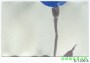 市話：02-26771601* 03-3642601   <br>產品編號：k1209-8<br>手機：0979017228   <br>歡迎來電評估